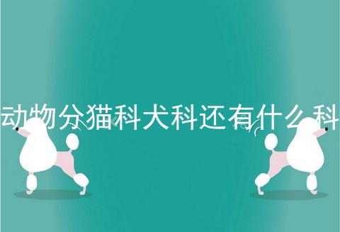 动物分猫科犬科还有什么科