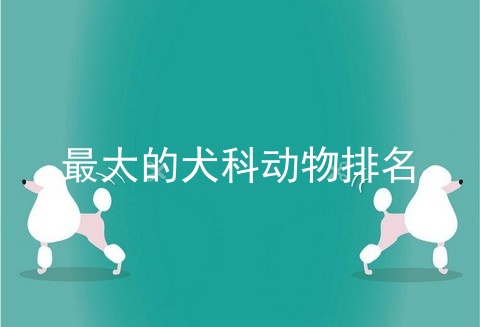 最大的犬科动物排名