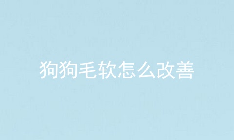 狗狗毛软怎么改善