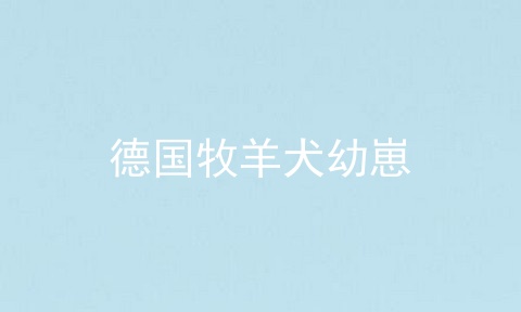 德国牧羊犬幼崽