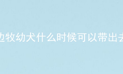 边牧幼犬什么时候可以带出去