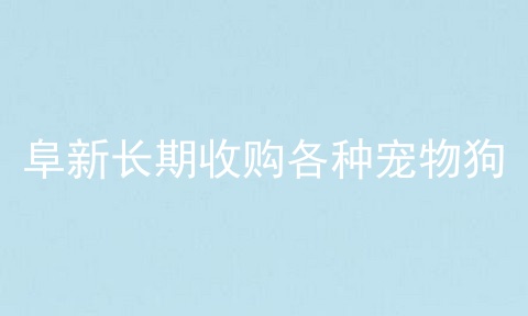 阜新长期收购各种宠物狗
