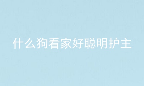 什么狗看家好聪明护主