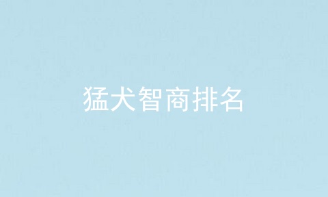 猛犬智商排名