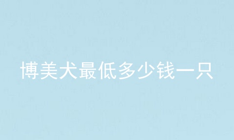 博美犬最低多少钱一只