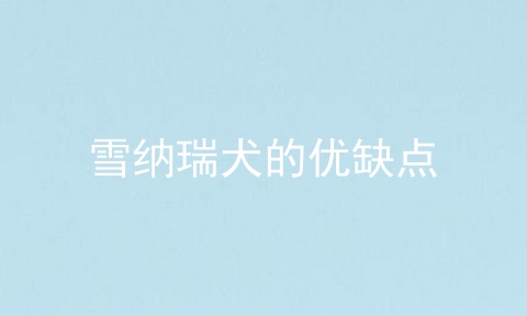 雪纳瑞犬的优缺点