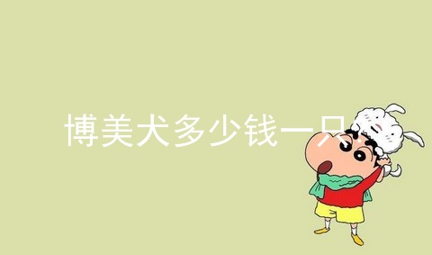 博美犬多少钱一只?