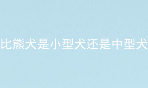 比熊犬是小型犬还是中型犬