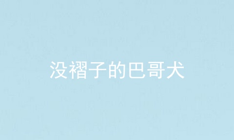 没褶子的巴哥犬