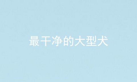 最干净的大型犬