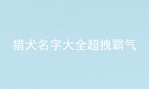 猎犬名字大全超拽霸气