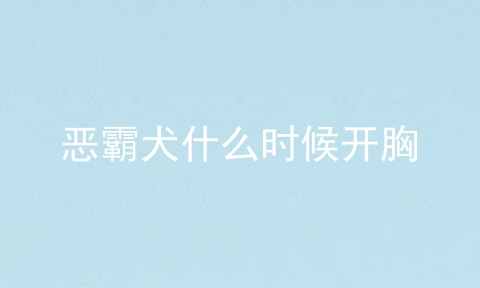 恶霸犬什么时候开胸