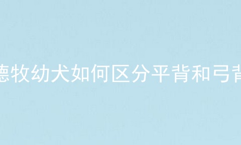 德牧幼犬如何区分平背和弓背
