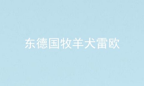 东德国牧羊犬雷欧