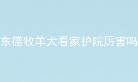 东德牧羊犬看家护院厉害吗