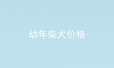 幼年柴犬价格