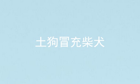 土狗冒充柴犬