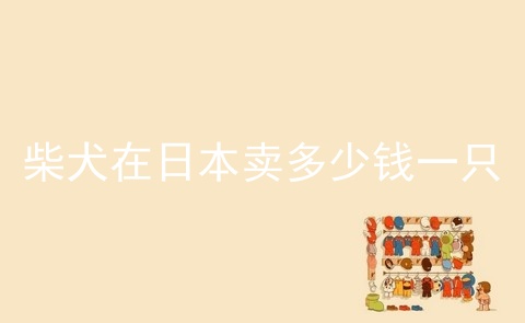 有懂日本柴犬的朋友吗？ 5000买了一只柴犬，但是很多人说他不纯，我……