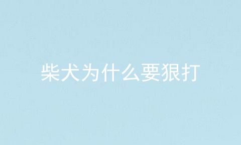 柴犬为什么要狠打