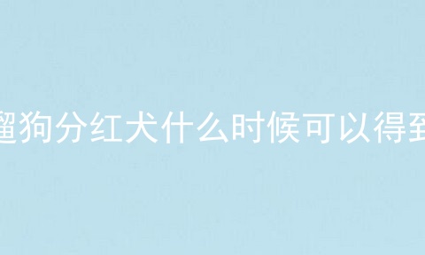 遛狗分红犬什么时候可以得到