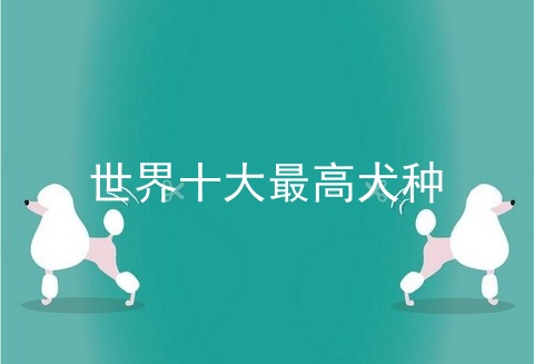 世界十大最高犬种