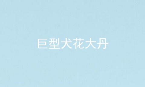巨型犬花大丹