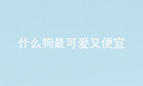 什么狗最可爱又便宜