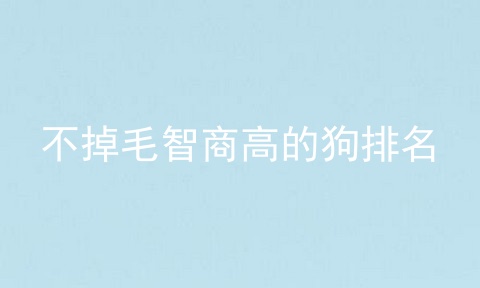 不掉毛智商高的狗排名