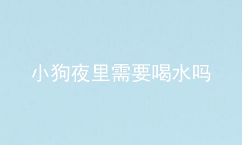 小狗夜里需要喝水吗