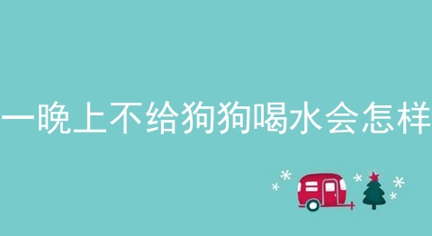 一晚上不给狗狗喝水会怎样