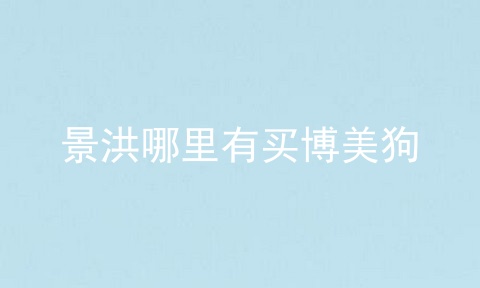 景洪哪里有买博美狗