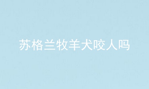 苏格兰牧羊犬咬人吗