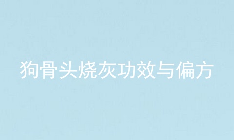 狗骨头烧灰功效与偏方