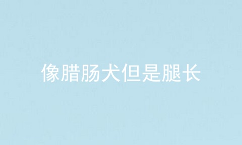 像腊肠犬但是腿长