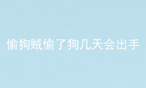 偷狗贼偷了狗几天会出手