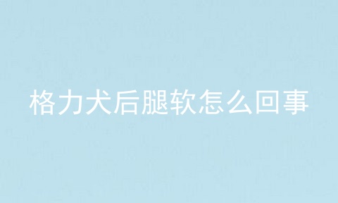格力犬后腿软怎么回事