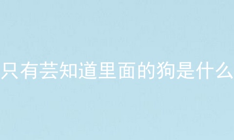 只有芸知道里面的狗是什么