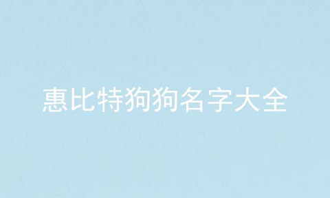 惠比特狗狗名字大全