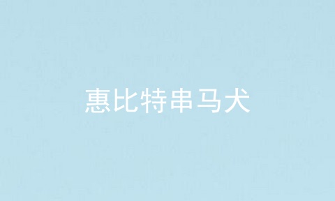 惠比特串马犬