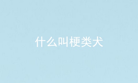 什么叫梗类犬
