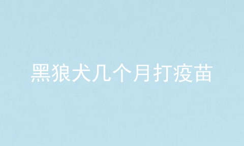 黑狼犬几个月打疫苗