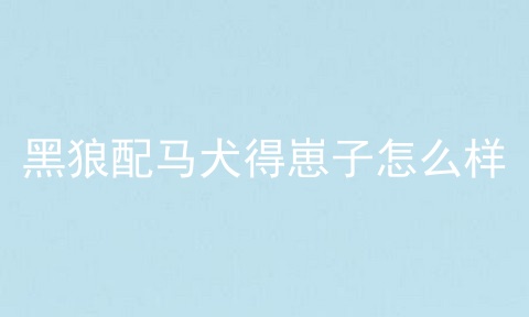 黑狼配马犬得崽子怎么样