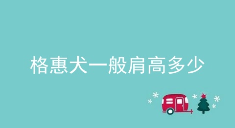 格惠犬一般肩高多少