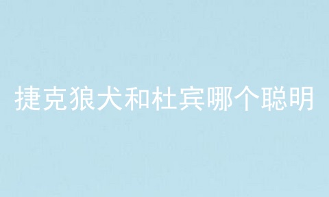 捷克狼犬和杜宾哪个聪明