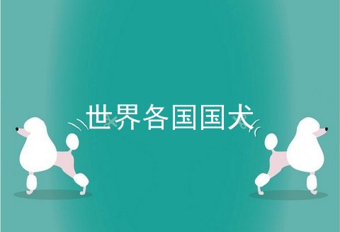世界各国国犬