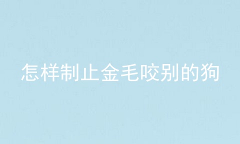 怎样制止金毛咬别的狗