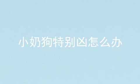 小奶狗特别凶怎么办