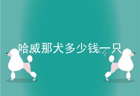 哈威那犬多少钱一只