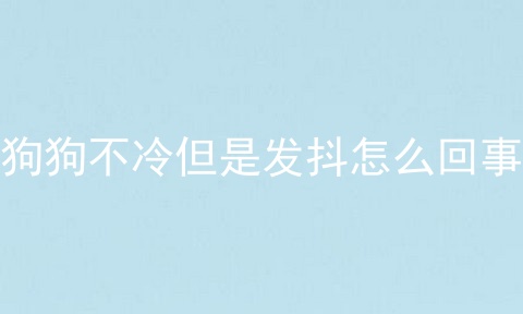 狗狗不冷但是发抖怎么回事