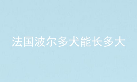 法国波尔多犬能长多大